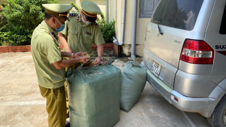 Lạng Sơn: Thu giữ hàng tạ thuốc bắc không rõ nguồn gốc (27/8/2020)