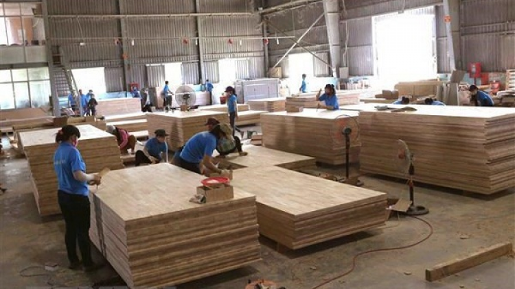 Hiệp định EVFTA và việc minh bạch nguồn gốc gỗ nguyên liệu (25/08/2020)