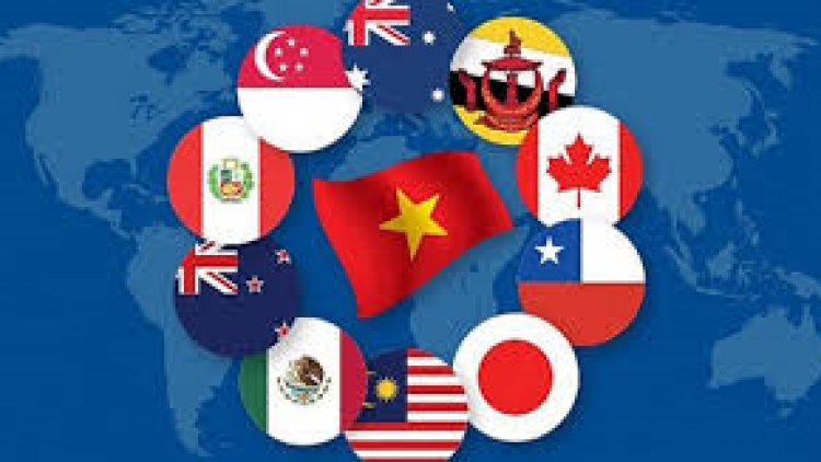 Hợp tác thúc đẩy phát triển nền tài chính ASEAN và vai trò của Bộ Tài chính Việt Nam trong năm nay (25/9/2020)