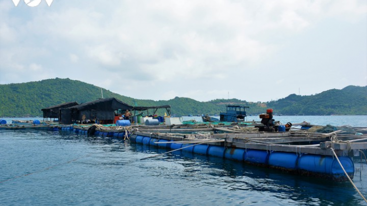 Các tỉnh miền Trung sẵn sàng sơ tán người dưới lồng bè (17/9/2020)