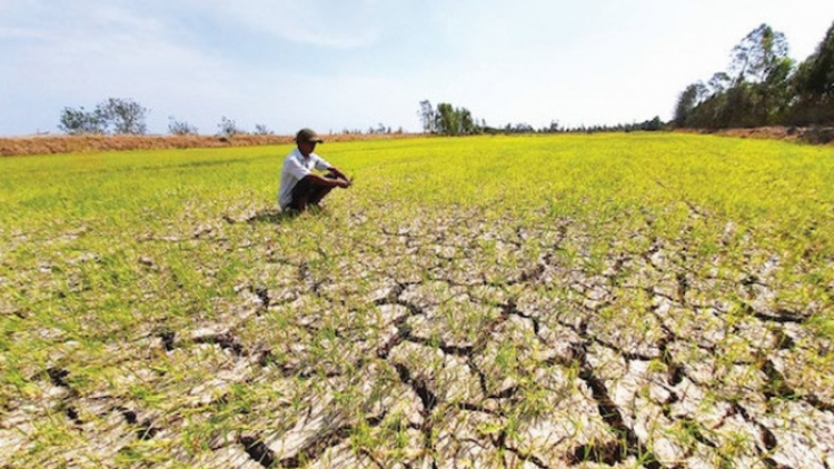 Chủ động ứng phó với hạn mặn nghiêm trọng trong mùa khô 2020-2021(25/09/2020)