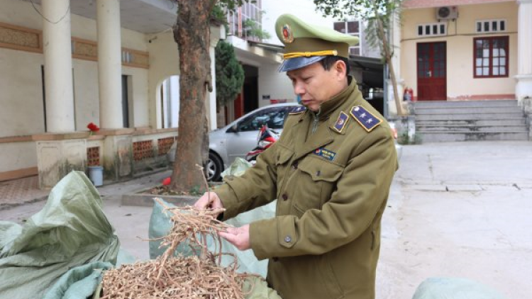 Lạng Sơn: Thu giữ gần 1 tấn nguyên liệu thuốc Bắc nhập lậu (14/1/2021)