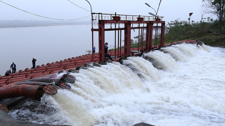 Tranh thủ lấy nước đổ ải đợt hai (28/01/2021)