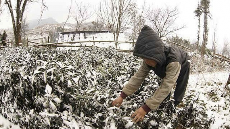 THỜI SỰ 21H30 ĐÊM 08/01/2021: Các tỉnh miền Bắc chìm trong giá rét: Thời tiết giá rét kèm mưa tiếp tục trong hai ngày cuối tuần.