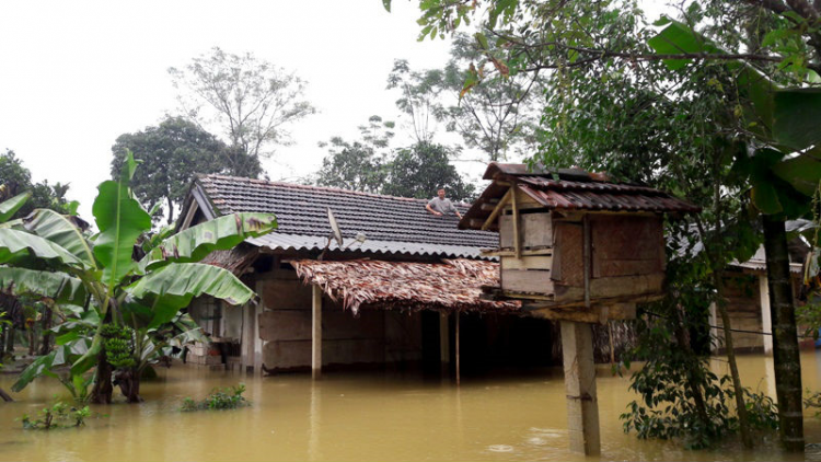 Người dân ứng phó với biến đổi khí hậu, thời tiết thất thường cực đoan (21/10/2020)