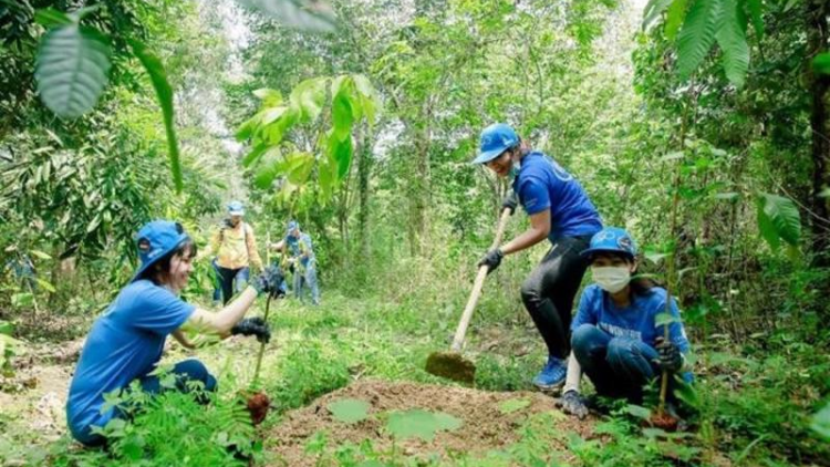 Vì sao gần 3 triệu ha rừng vẫn chưa có chủ? (06/10/2021)