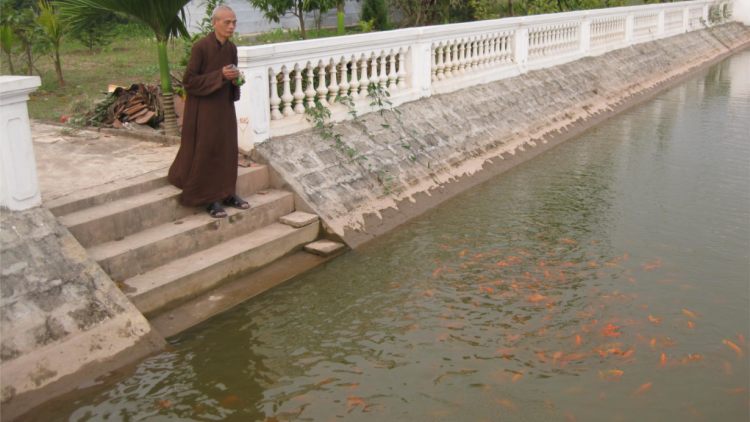 Đại lão Hòa thượng Thích Phổ Tuệ - Pháp chủ Giáo hội Phật giáo Việt
Nam viên tịch, trụ thế 105 năm.