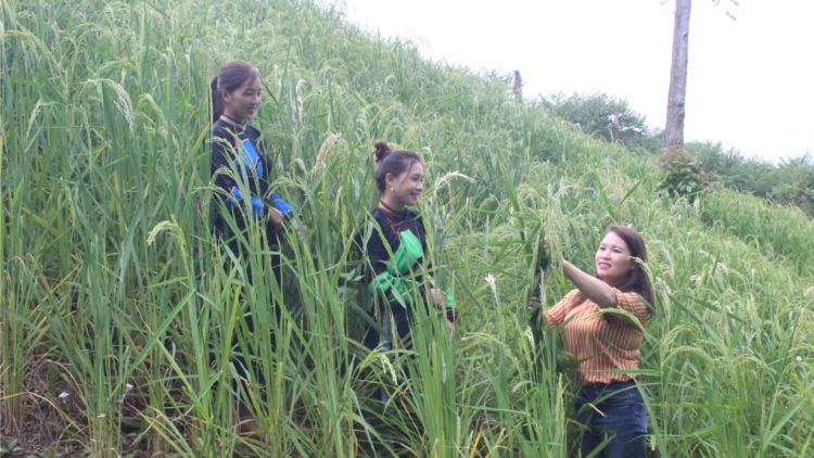 Những cô gái khởi nghiệp từ hợp tác xã nông nghiệp (19/10/2021)