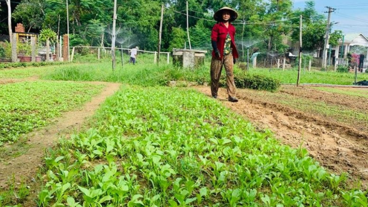 Quảng Nam: Hiệu quả mô hình khu dân cư nông thôn mới kiểu mẫu (25/10/2021)