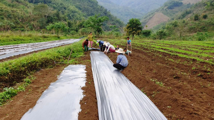 Chung sức giải bài toán tạo việc làm, tăng thu nhập cho người lao động (01/11/2021)