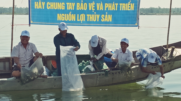 Quy hoạch dài hơi để bảo tồn và phát triển bền vững nguồn lợi thuỷ sản (02/11/2021)