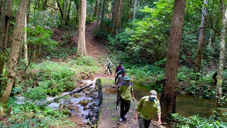 Khu dự trữ sinh quyển Cao nguyên Kon Hà Nừng: Cộng đồng Bahnar đoàn kết giữ rừng nguyên sinh (05/11/2021)