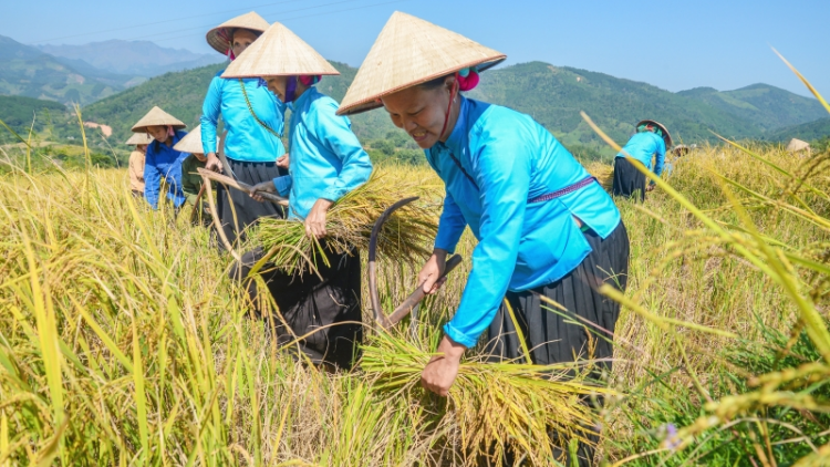 Về vùng "5 nhất" Quảng Ninh (4/12/2021)