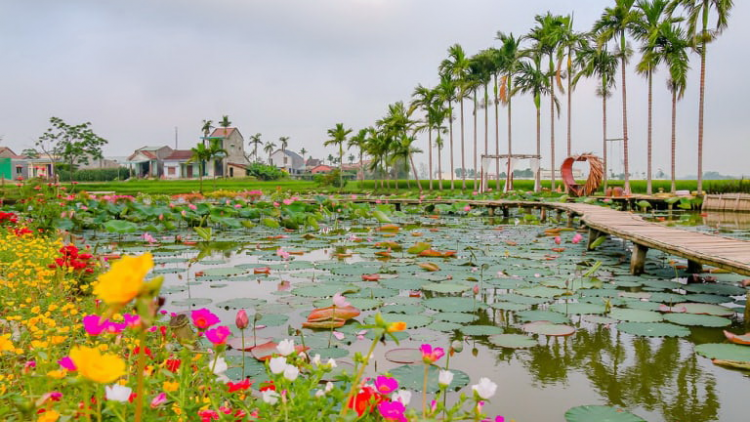 Gương khởi nghiệp, nguồn cảm hứng cho thanh niên nông thôn Quảng Nam (17/12/2021)