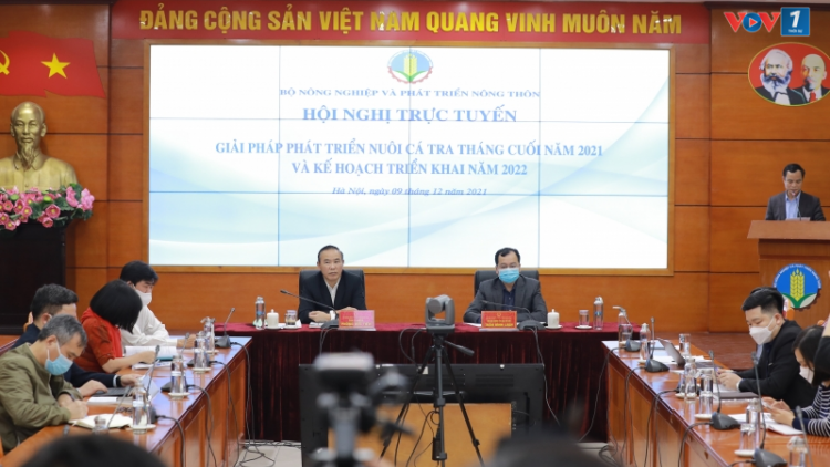 Bàn giải pháp gỡ khó cho ngành cá tra (09/12/2021)