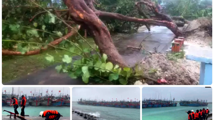 Các địa phương phía Bắc: Kinh nghiệm nào ứng phó với rét đậm, rét hại mùa đông năm nay (16/12/2021)