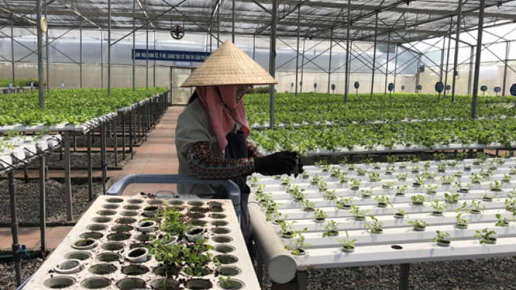 Nông dân là trung tâm chuyển đổi số trong nông nghiệp. (06/12/2021)