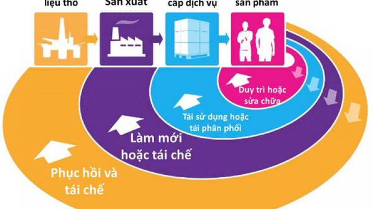 Việt Nam thúc đẩy kinh tế tuần hoàn trong thời kỳ mới (Ngày 03/02/2021)