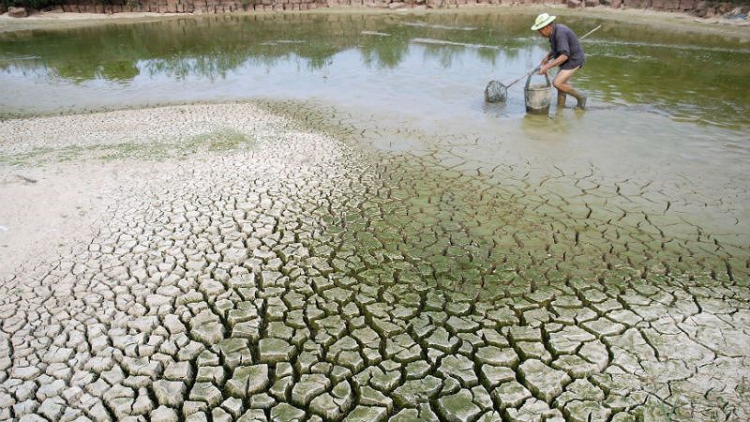 Đồng bộ các giải pháp ứng phó biến đổi khí hậu (10/03/2021)