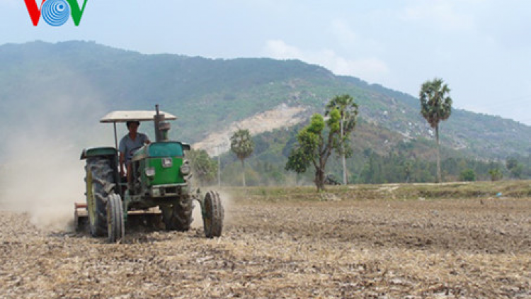 Giải pháp ứng phó và sống chung với hạn mặn (30/03/2021)