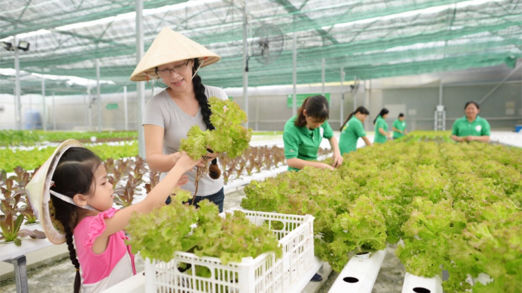 Những người phụ nữ nặng lòng với nông nghiệp sạch (08/03/2021)