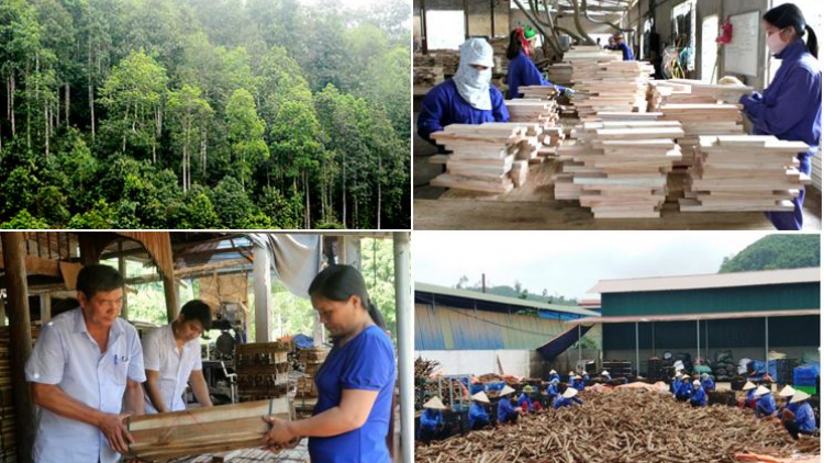 Yên Bái: phát triển kinh tế lâm nghiệp bền vững trong biến đổi khí hậu (16/03/2021)