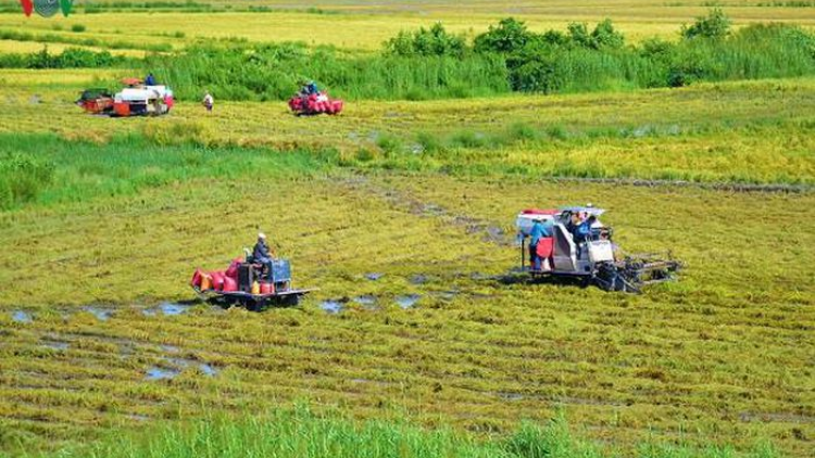 Chuyển đổi cơ cấu sản xuất- nông nghiệp ĐBSCL thích ứng với biến đổi khí hậu (07/04/2021)