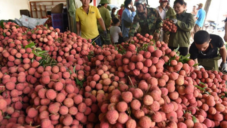 Tổng cục QLTT dồn lực hỗ trợ tiêu thụ nông sản cho bà con nông dân vùng dịch (28/5/2021)