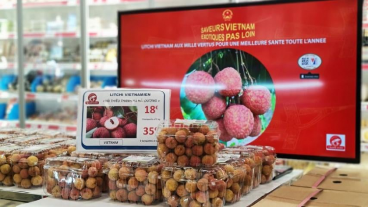 “FTA mới” và câu chuyện chủ động thay đổi để hội nhập (17/06/2021)