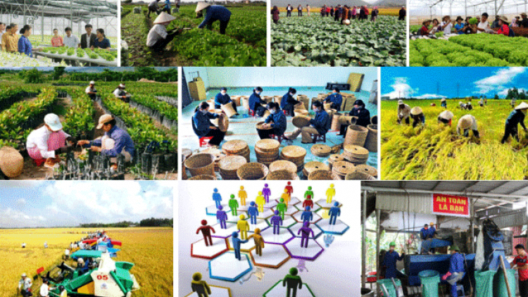 Liên hiệp hợp tác xã - thúc đẩy kinh tế hợp tác phát triển bền vững (24&25/07/2021)