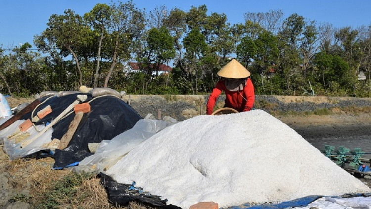 Bình Định: Giá muối xuống thấp, diêm dân gặp khó khăn (06/07/2021)