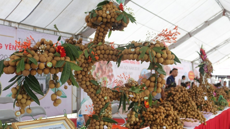 THỜI SỰ 18H CHIỀU 21/07/2021: Nhãn Sông Mã, Sơn La đầu tiên xuất khẩu sang thị trường châu Âu và Vương quốc Anh