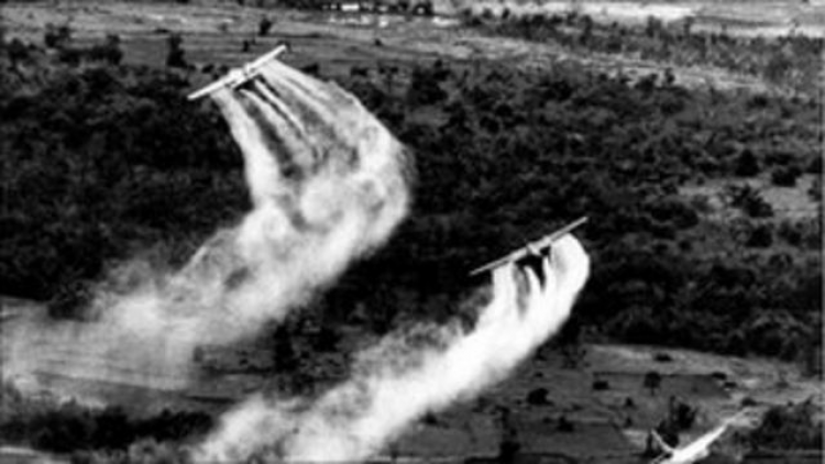 60 năm thảm họa da cam (10/08/1961 – 10/08/2021): Những tấm gương vượt lên nỗi đau, đóng góp cho xã hội (9/8/2021)