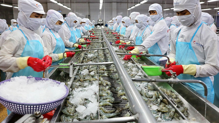 Duy trì sản xuất không để đứt gãy nguồn cung lương thực thực phẩm các tỉnh phía Bắc (14/08/2021)