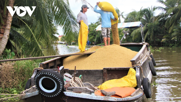 Luồng xanh nông sản: Cần gỡ các nút thắt từ phía địa phương (19/8/2021)