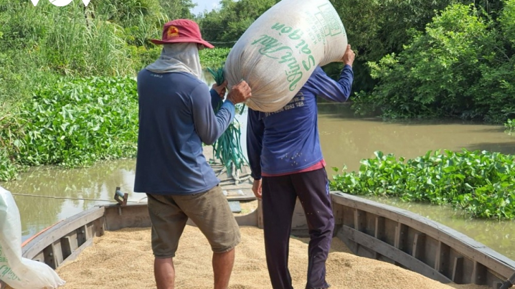 Khơi thông dường thuỷ, thuận tiện cho lưu thông nông sản ĐBSCL (24/08/2021)