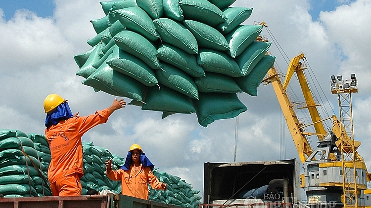 Cơ hội gia tăng xuất nhập khẩu vào thị trường các nước Châu Phi nói tiếng Pháp