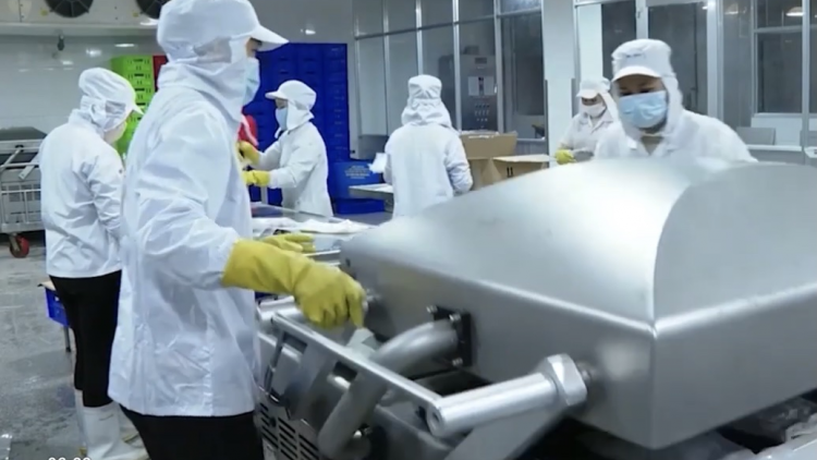 Bà Rịa-Vũng Tàu: Doanh nghiệp khó tiếp cận gói hỗ trợ 26 ngàn tỷ đồng (04/09/2021)