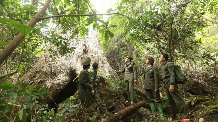 Lâm Bình, Tuyên Quang - Dựa vào cộng đồng bảo vệ “lá phổi xanh” (17/01/2023)