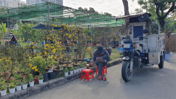Chợ hoa Tết ở TP. HCM đìu hiu, rau củ quả và trái cây hút hàng (19/1/2023)