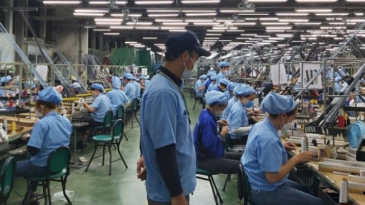 Đà Nẵng: 95% số lao động trở lại làm việc sau Tết (32/1/2023)