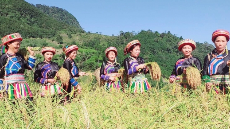 Sắc xuân trên đỉnh Núi Hoa (22/1/2023)