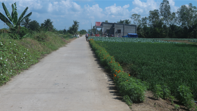 Sóc Trăng: Phum sóc đồng bào Khmer vào xuân (16/1/2023)