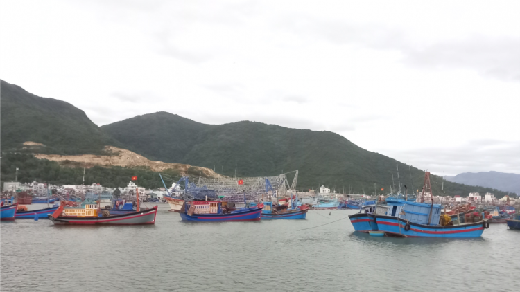 Khánh Hòa: Ngư dân tất bật chuyến biển cuối năm (20/1/2023)
