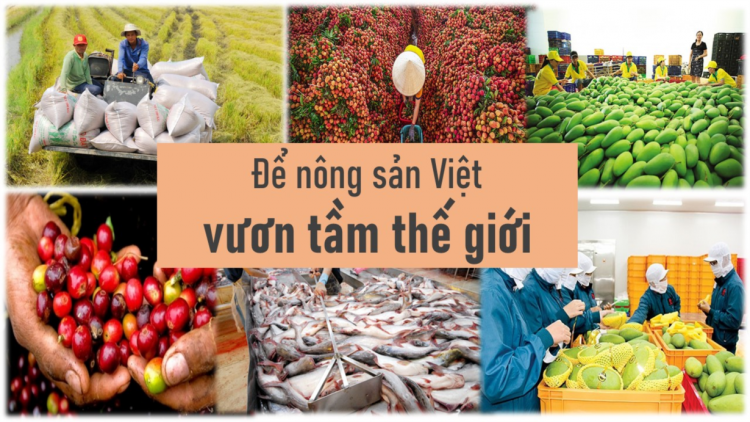 Nông sản Việt chinh phục những thị trường khó tính (06/01/2023)
