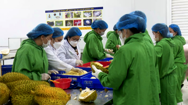 Đắk Lắk: Sôi nổi khí thế làm việc đầu năm (27/1/2023)