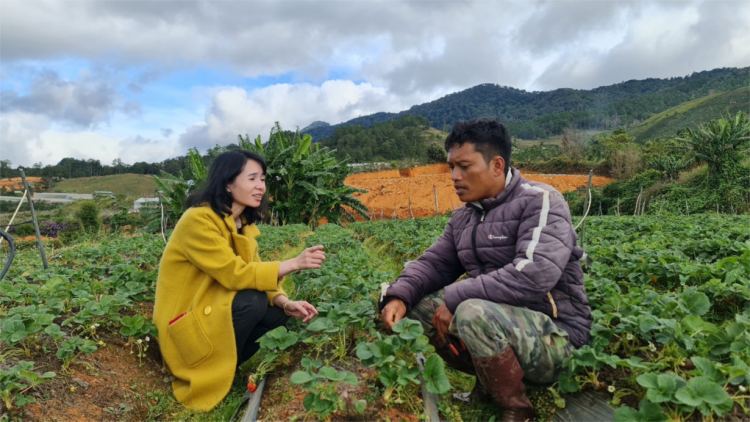 Xuân ấm no nơi chân núi Langbiang (12/1/2023)