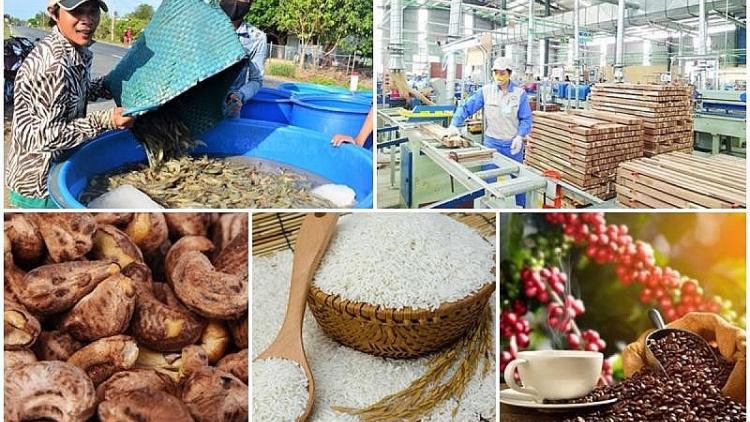 Loạt bài: Nông sản vươn mình ra biển lớn  <br> Bài 1 : “Tăng trưởng kỷ lục, tạo dấu ấn trên trường quốc tế, nông sản Việt không chỉ ở “ao nhà” (12/01/2023)