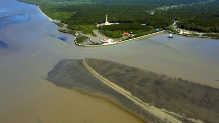 Phát triển du lịch gắn với bảo tồn khu Ramsar Mũi Cà Mau (20/08/2023)