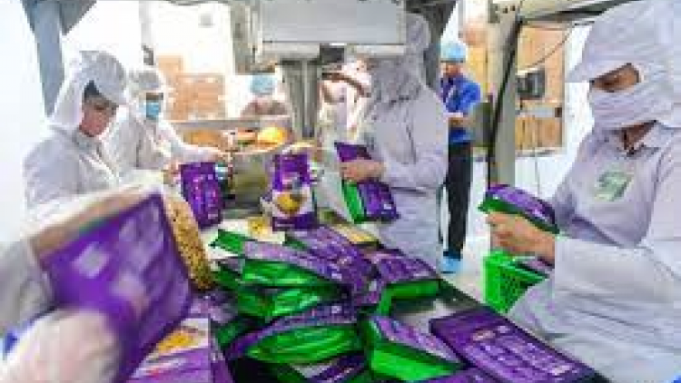 THỜI SỰ 21H30 ĐÊM 27/10/2023: Nhiều ý kiến đại biểu Quốc hội đồng tình với đề xuất kéo dài thời gian giảm thuế giá trị gia tăng cho doanh nghiệp để thúc đẩy sản xuất và tăng trưởng.